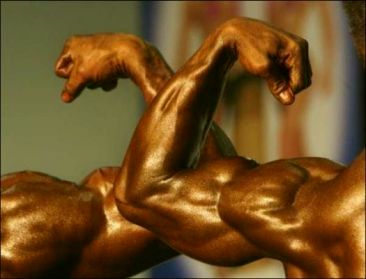 2 жовтня в Криму Чемпіонат України НАББА/ВФФ