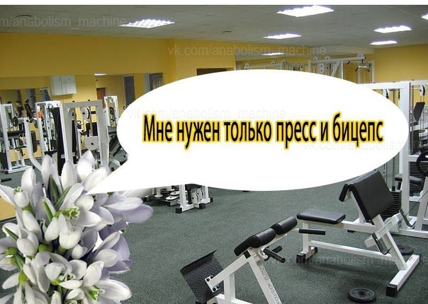 Типы Боди. Существующие типы культуристов: &laquo;Тип Подснежники&raquo;. Ч.3