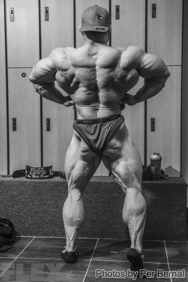 FlexLewis 2