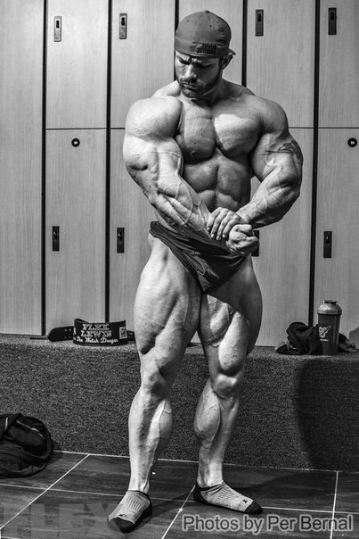 FlexLewis 5