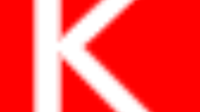 Учасники фестивалю &laquo;Сила нації&raquo;